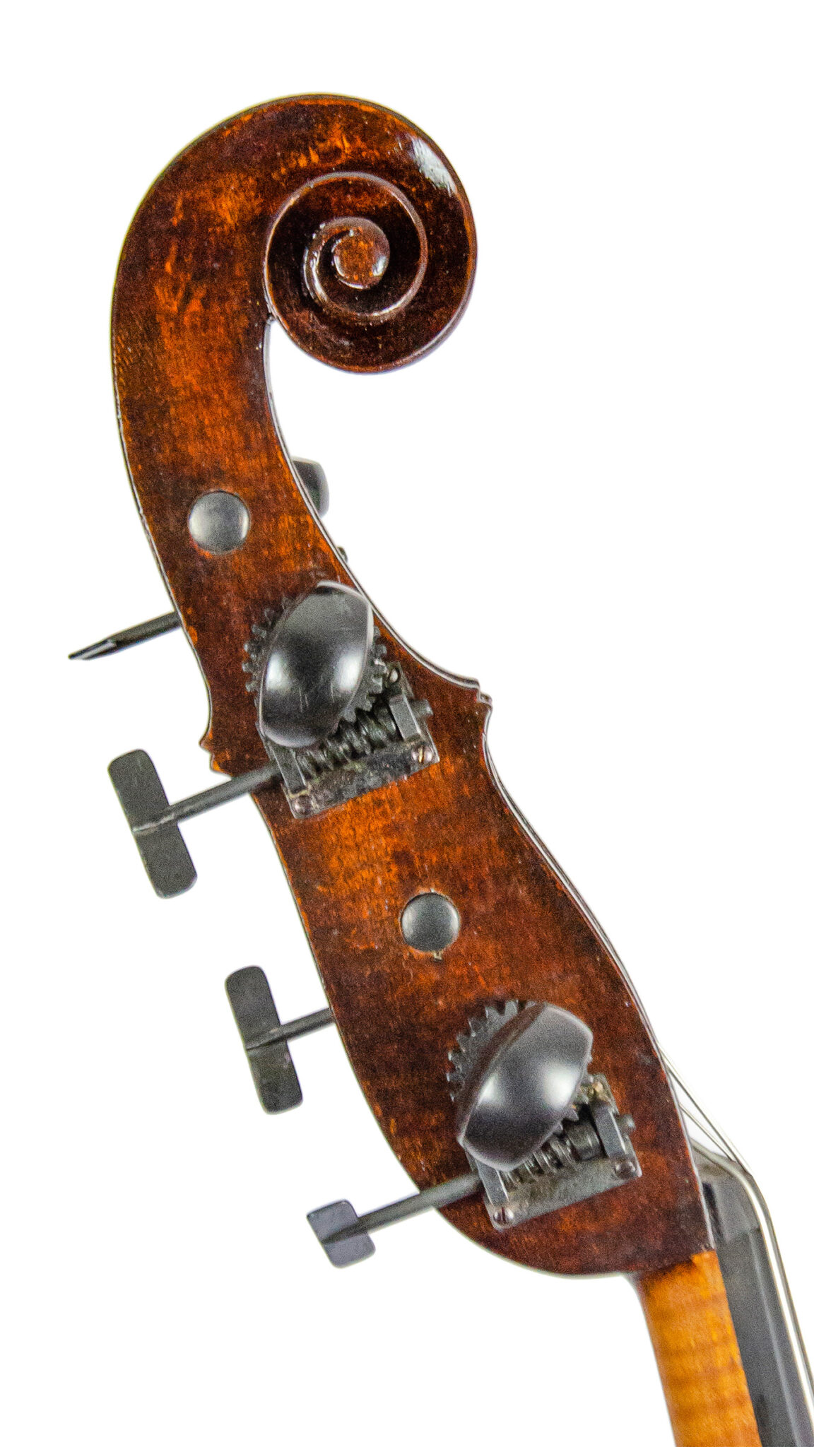 Jakob Schönfelder, Jacob Schönfelder, Kontrabass, Doublebass, Solo Doublebass, Baroque Bass, Antiqued Varnish, Austria Doublebass, Salzburg