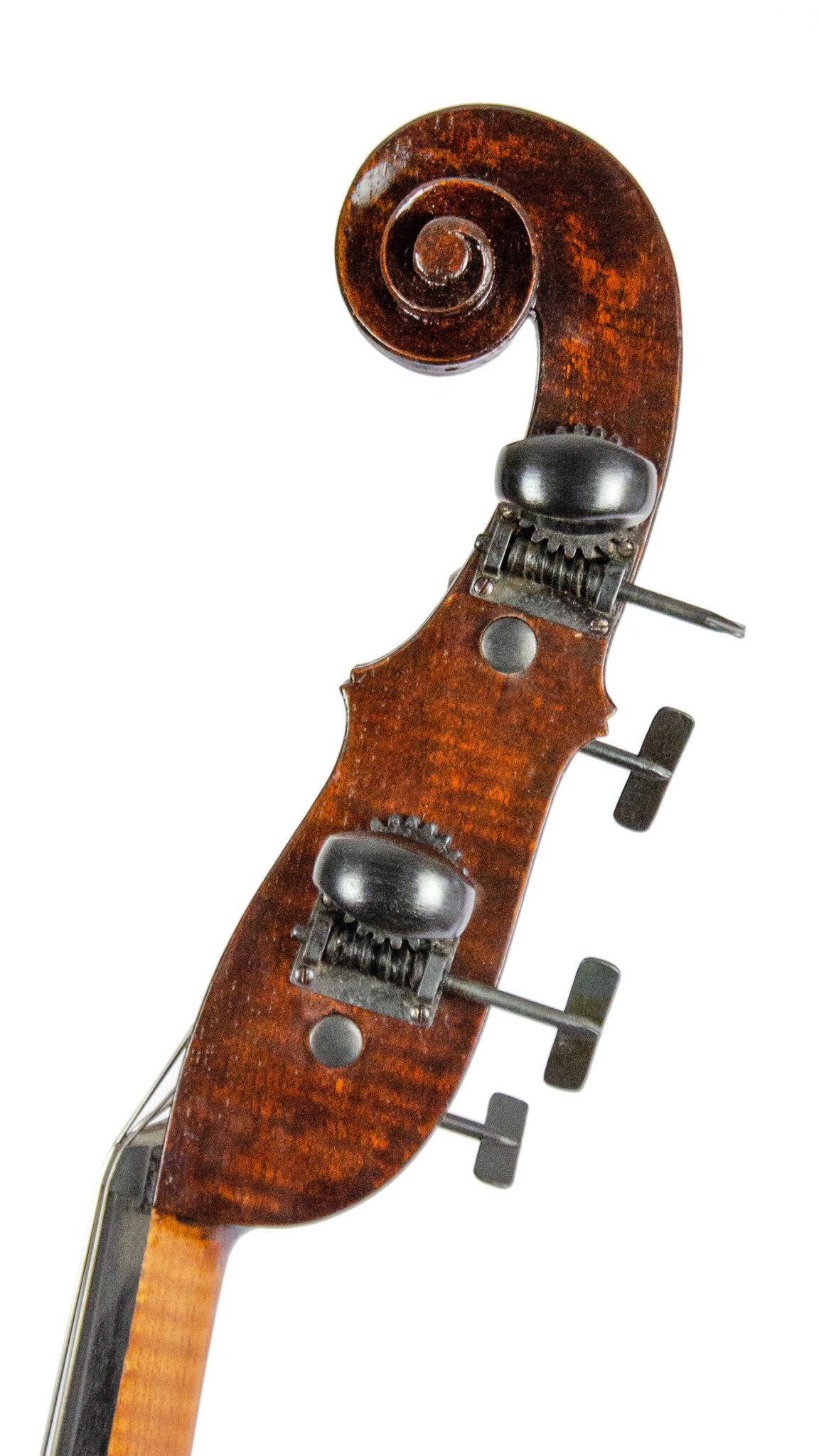 Jakob Schönfelder, Jacob Schönfelder, Kontrabass, Doublebass, Solo Doublebass, Baroque Bass, Antiqued Varnish, Austria Doublebass, Salzburg