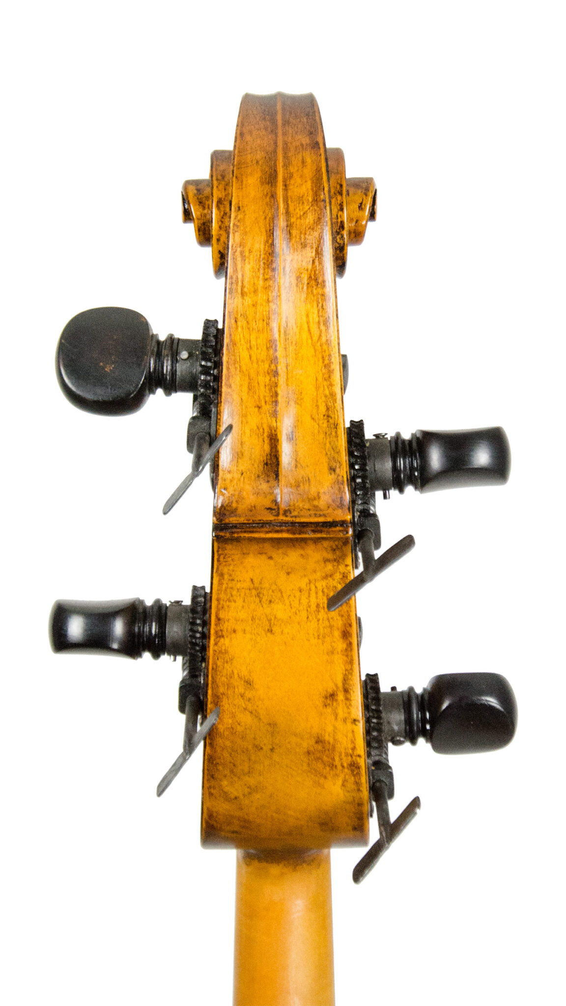 Jakob Schönfelder, Jacob Schönfelder, Kontrabass, Doublebass, Solo Doublebass, Baroque Bass, Antiqued Varnish, Austria Doublebass, Salzburg