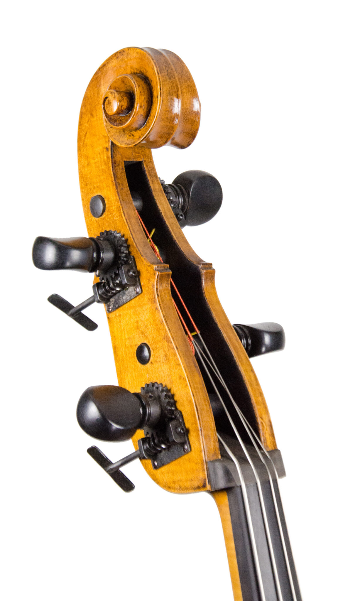 Jakob Schönfelder, Jacob Schönfelder, Kontrabass, Doublebass, Solo Doublebass, Baroque Bass, Antiqued Varnish, Austria Doublebass, Salzburg