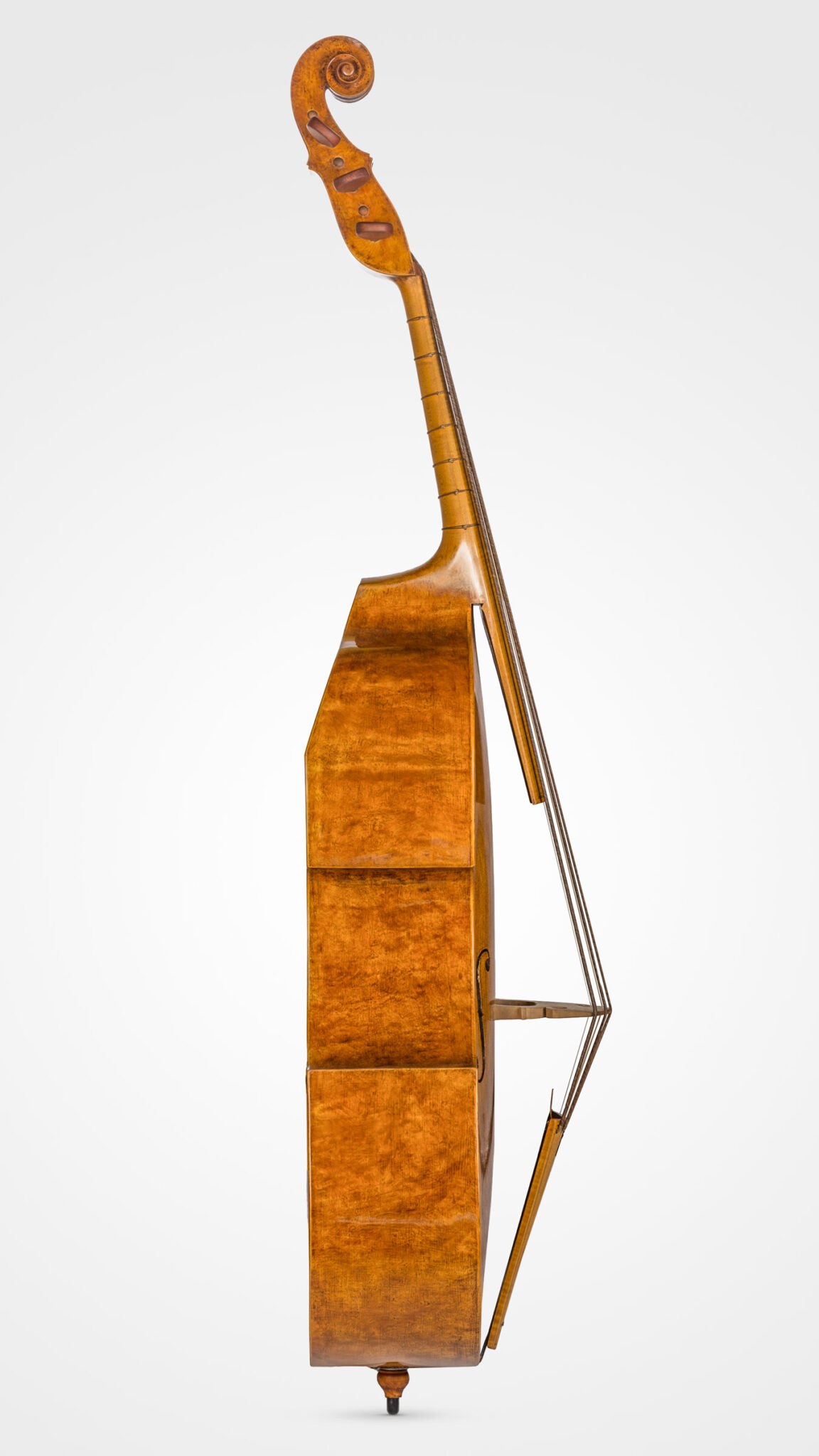 Jacobus Stainer, Violone, Barock Kontrabass, Barock Violone, Baroque Doublebass, 6 String, Darmsaiten, Gut Strings