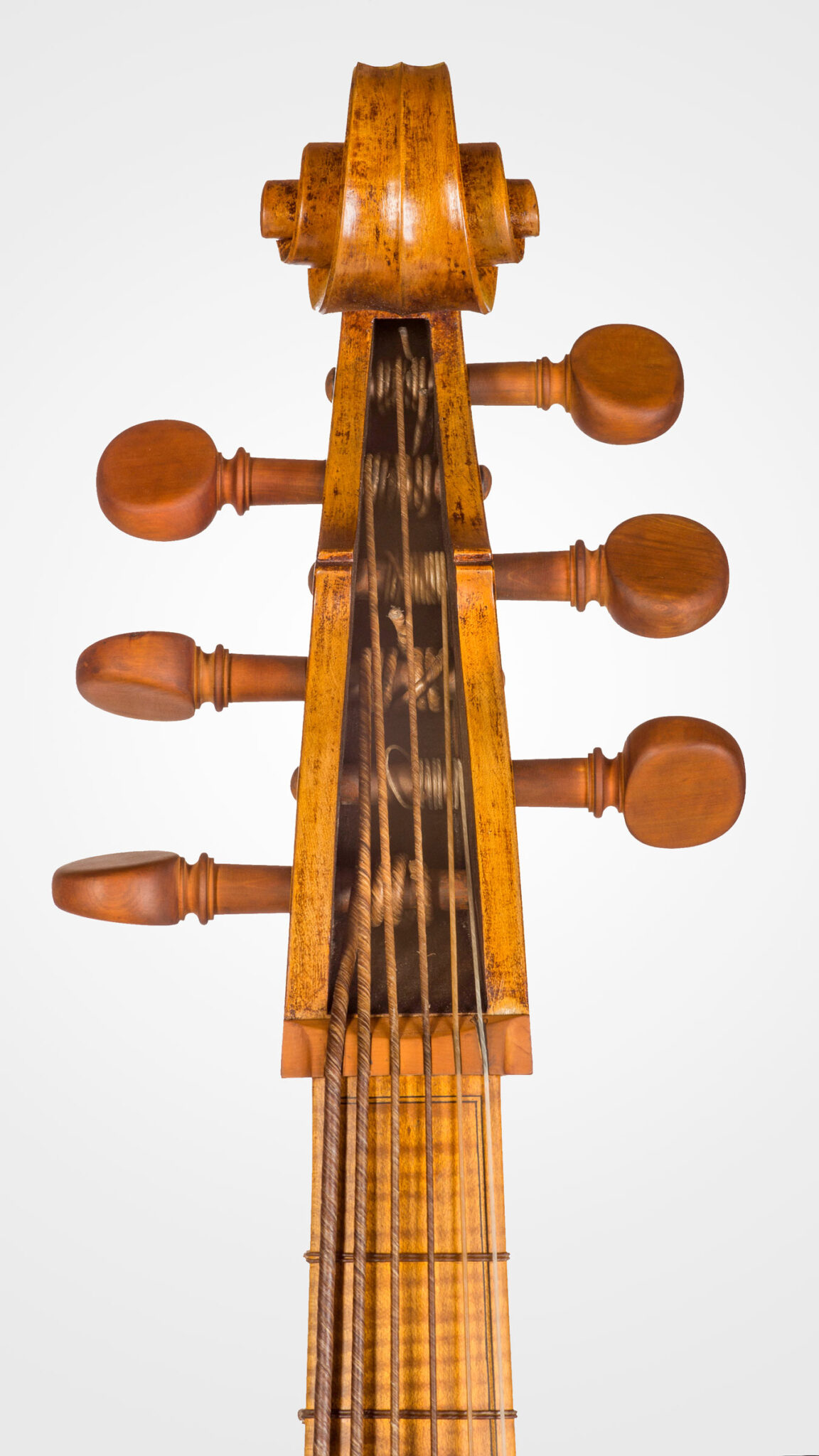 Jacobus Stainer, Violone, Barock Kontrabass, Barock Violone, Baroque Doublebass, 6 String, Darmsaiten, Gut Strings